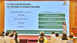 PVCFC chỉ ra 5 chuyển dịch lớn đang định hình tương lai ngành phân bón Việt Nam